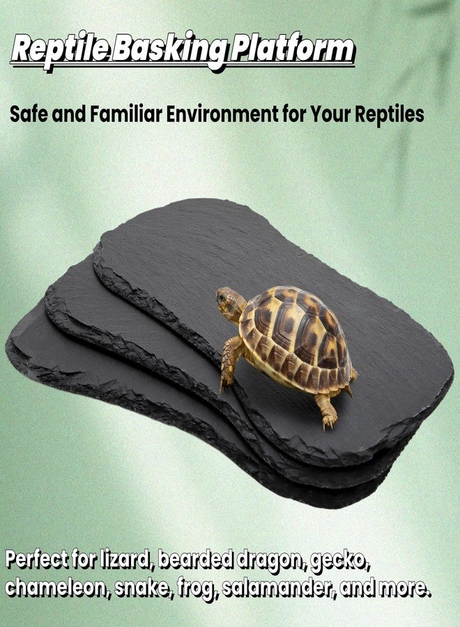 Tlence 3 Pack Reptile Basking Platform, 11''x5.5'' Tortoise Rock Plates, Bearded Dragon Feeding Slate, Lizard Bathing Resting Rock Slab for Gecko Chameleon Snake Frog Habitat Accessories - Image 3